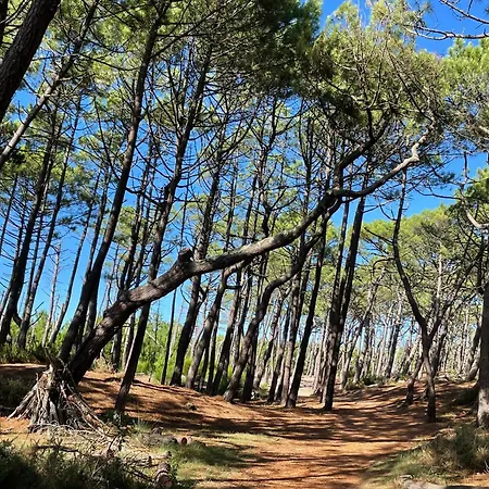 Sole E Mare Mimizan-Plage