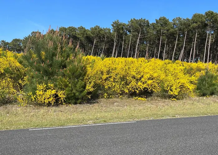 Sole E Mare * Mimizan-Plage