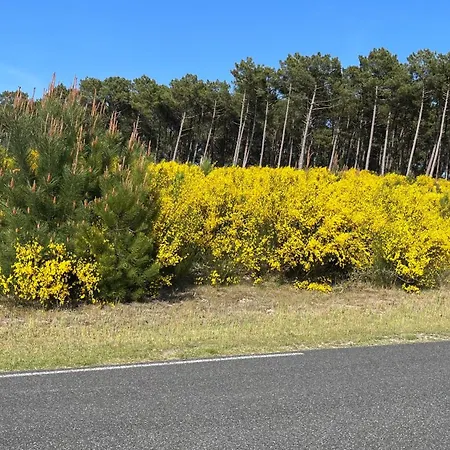 Sole E Mare * Mimizan-Plage