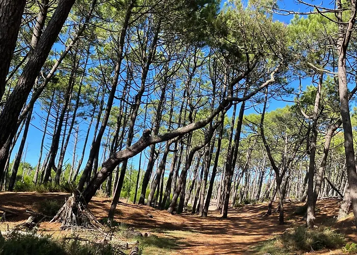 Sole E Mare Мимизан-Плаж